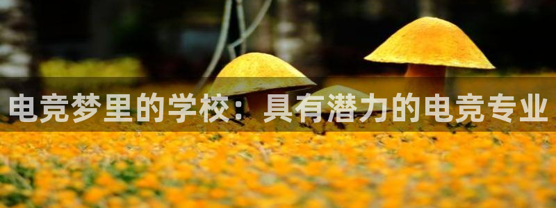 易游电竞赛事直播：电竞梦里的学校：具有潜力的电竞专业