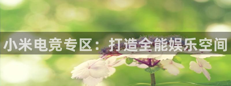 易游电竞CSGO解说：小米电竞专区：打造全能娱乐空间