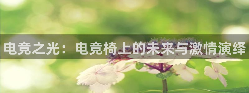 易游电竞官网：电竞之光：电竞椅上的未来与激情演绎