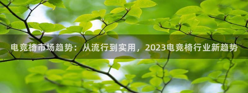 易游电竞淮阴区：电竞椅市场趋势：从流行到实用，2023电竞椅行业新趋势