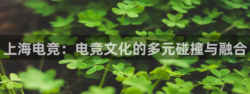 易游电竞平台：上海电竞：电竞文化的多元碰撞与融合