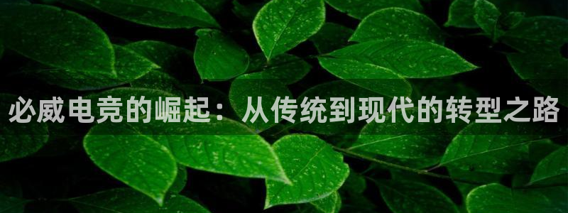 易游电竞：必威电竞的崛起：从传统到现代的转型之路